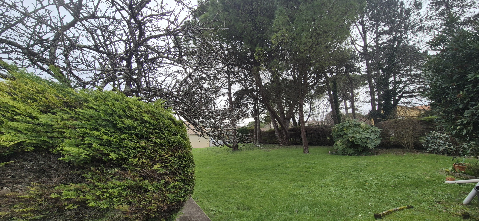 Image_, Maison, Meschers-sur-Gironde, ref :2026-02-283