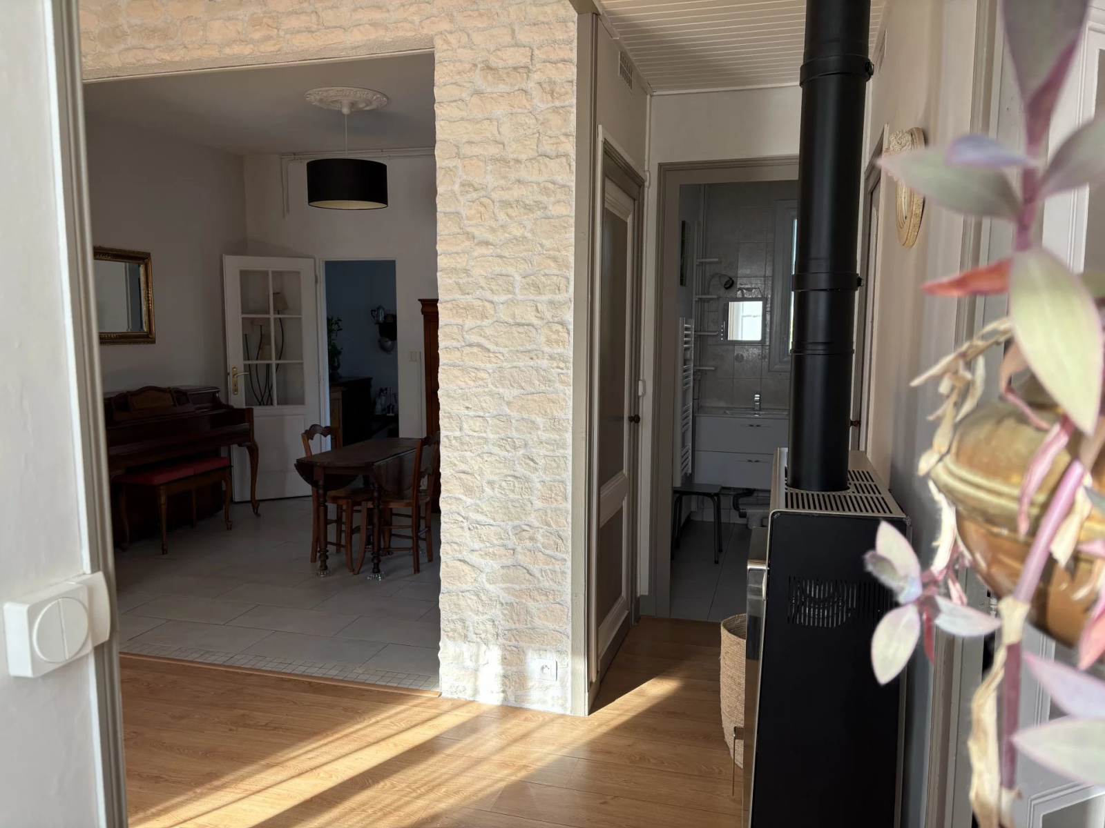 Image_, Maison, Royan, ref :85636342